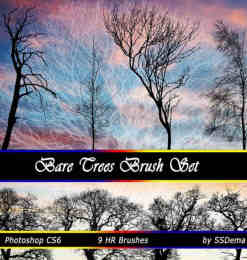 9种真实的树木剪影、阴影效果photoshop笔刷素材