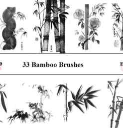 33种不同样式的毛竹、竹子photoshop笔刷素材