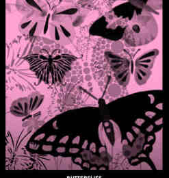 漂亮的蝴蝶花纹图案photoshop素材笔刷