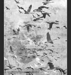 大雁南飞、鸟群背景图案photoshop笔刷素材