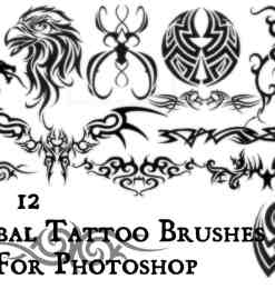 严谨漂亮的老鹰纹饰、火焰纹身、神秘纹饰图案photoshop笔刷素材