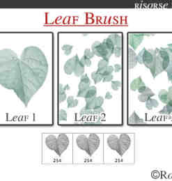 简单的叶子、绿叶、树叶photoshop笔刷素材