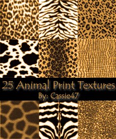 25种豹纹、斑点纹理、动物皮毛photoshop笔刷素材下载