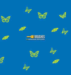 各种飞舞的蝴蝶图案photoshop笔刷下载