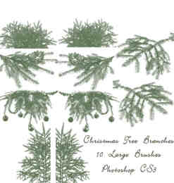 圣诞树的树枝、树杈、圣诞节装饰PS笔刷素材