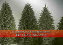 真实的圣诞树、松树photoshop笔刷素材下载