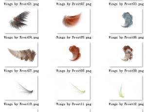 16种自由组合式抽象另类翅膀PNG素材！已扣图-美图秀秀素材