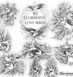 10种不同的艺术爱情鸟Photoshop笔刷素材