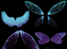 天使翅膀、昆虫翅膀Photoshop笔刷