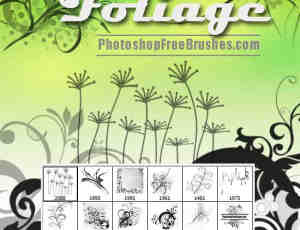 手绘优雅植物花纹图案Photoshop笔刷素材