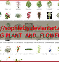 49个鲜花、树木、玫瑰、草木等透明图片素材【美图秀秀素材包】