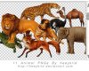 动物狮子、豹子、狐狸、狗、乌龟等图像【美图秀秀素材包】