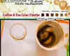 茶杯、咖啡杯杯底污渍、污迹Photoshop笔刷素材