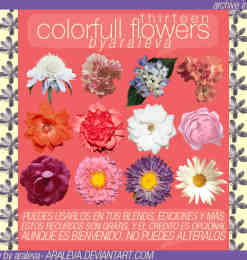 13种漂亮盛开的真实鲜花花朵Photoshop笔刷