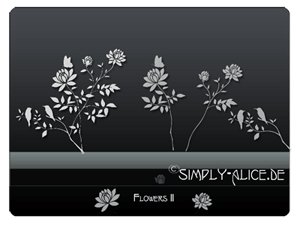 漂亮的植物花纹照片美图背景边框饰品PS笔刷 #.20