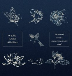 中国风格手绘花鸟图案Photoshop笔刷素材