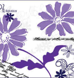 漂亮的植物花纹照片美图背景边框饰品PS笔刷 #.39