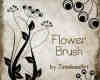 漂亮的植物花纹照片美图背景边框饰品PS笔刷 #.51