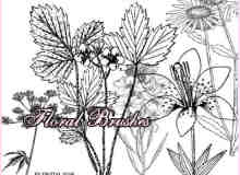 漂亮的植物花纹照片美图背景边框饰品PS笔刷 #.37