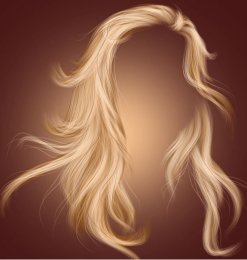 金色女式长发、发套Photoshop笔刷素材
