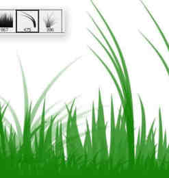简单小草、青草、草地、草丛Photoshop笔刷