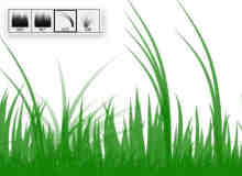 简单小草、青草、草地、草丛Photoshop笔刷