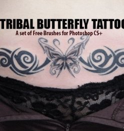 性感的蝴蝶纹饰、纹身花纹图案Photoshop笔刷