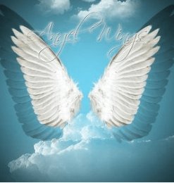 天使羽翼翅膀Photoshop美图笔刷素材下载