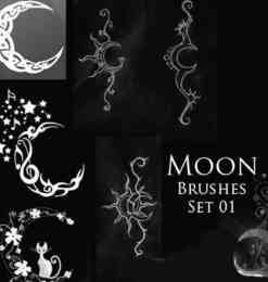 神秘月亮花纹图案Photoshop笔刷素材