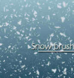 真实的雪花、雪片Photoshop下雪笔刷