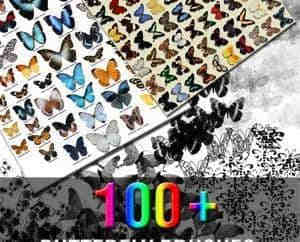 100+种标本式美丽的蝴蝶Photoshop笔刷下载