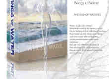 透明水翅膀、液体翅膀Photoshop笔刷素材