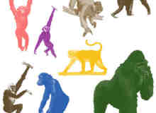 大猩猩、狒狒等猿猴类PS笔刷素材