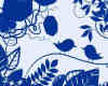 漂亮的植物花纹照片美图背景边框饰品PS笔刷 #.72