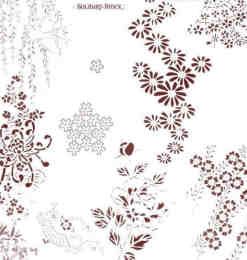 漂亮的植物花纹照片美图背景边框饰品PS笔刷 #.76