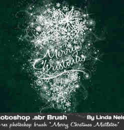 时尚圣诞节背景涂鸦装饰Photoshop笔刷素材