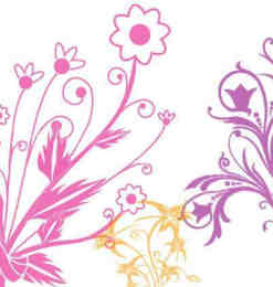 漂亮的植物花纹照片美图背景边框饰品PS笔刷 #.75