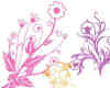漂亮的植物花纹照片美图背景边框饰品PS笔刷 #.75