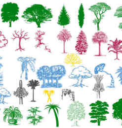 印刷版式树木、大树、树林Photoshop笔刷素材