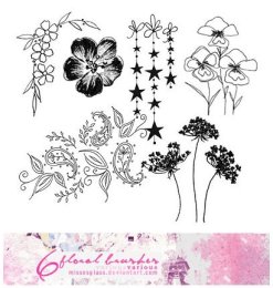 漂亮的植物花纹照片美图背景边框饰品PS笔刷 #.79