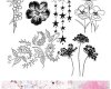 漂亮的植物花纹照片美图背景边框饰品PS笔刷 #.79