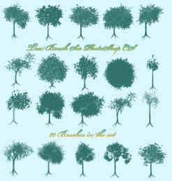 20种树木图形PS笔刷
