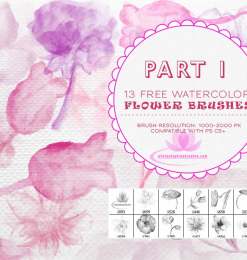 13种水彩、水粉花卉、鲜花绘画图形Photoshop笔刷 #.1