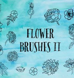 漂亮的手绘鲜花、线框式花朵PS笔刷下载