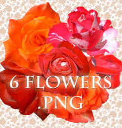 6种玫瑰花朵、鲜花图形Photoshop笔刷（图片格式）