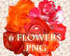 6种玫瑰花朵、鲜花图形Photoshop笔刷（图片格式）