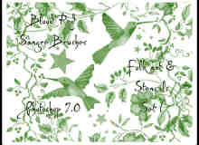 植物花纹、小鸟图案装饰Photoshop笔刷