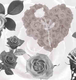 真实的玫瑰花花朵Photoshop笔刷素材
