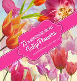 23种真实的郁金香花朵、鲜花Photoshop笔刷素材