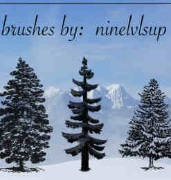 3种松树、雪松、圣诞树Photoshop笔刷下载
